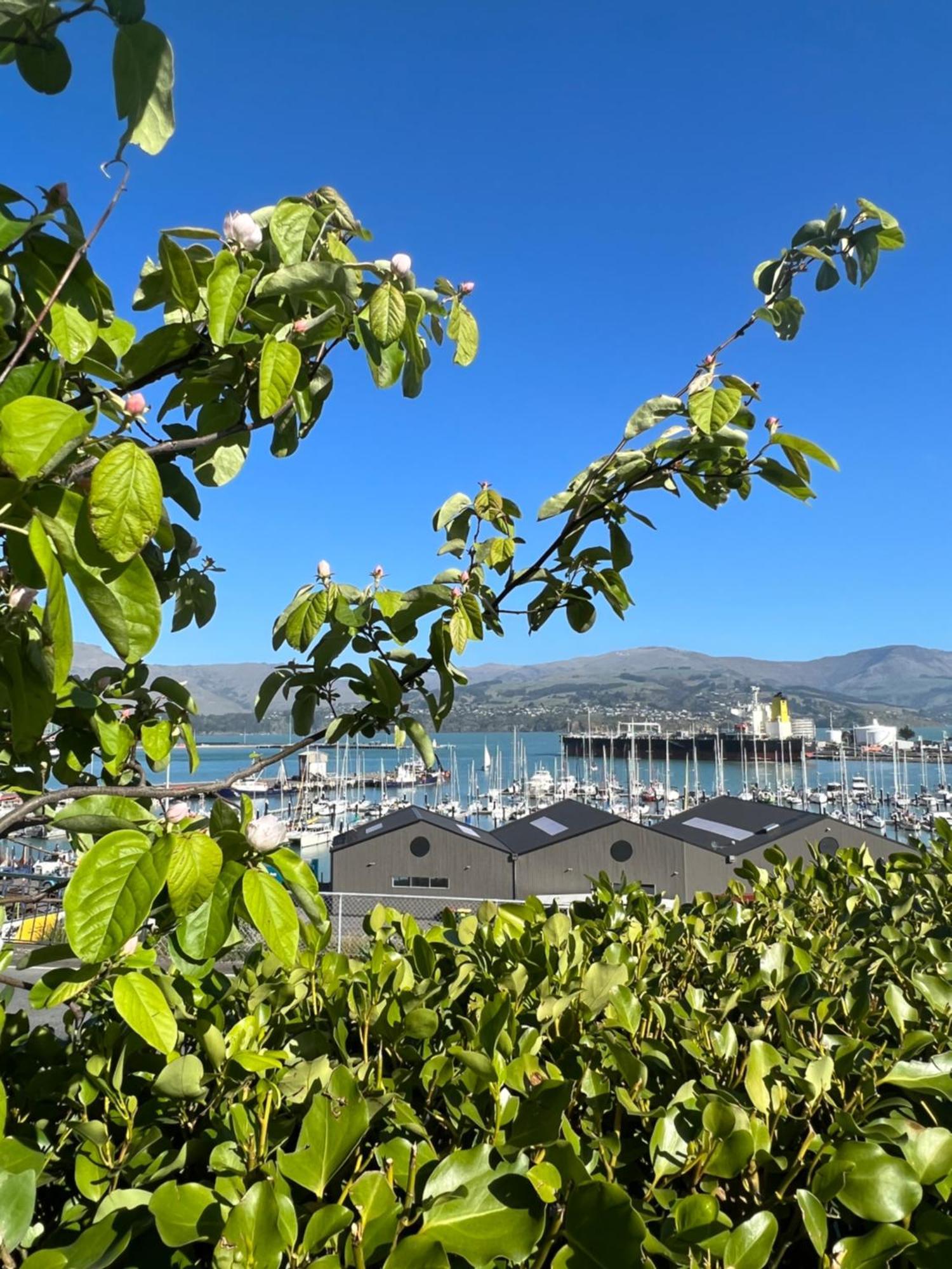 Sea Views In Luxury At Lyttelton Boatique House - 14 Km From Christchurch Bagian luar foto