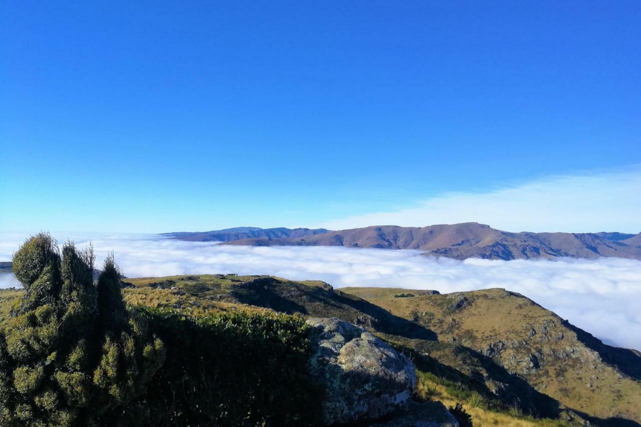 Sea Views In Luxury At Lyttelton Boatique House - 14 Km From Christchurch Bagian luar foto